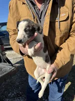 processed/10278e33-3c22-4648-8122-dc9c3dc5e8da/listing/8b5ecd67-83fe-4d46-ac09-f144a4e0f953/22b4fc1d-7143-4eeb-b37d-f927743b5e14