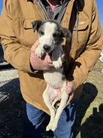 processed/10278e33-3c22-4648-8122-dc9c3dc5e8da/listing/8b5ecd67-83fe-4d46-ac09-f144a4e0f953/34908dd4-bed3-428e-9554-1bf21287d2dc