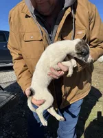 processed/10278e33-3c22-4648-8122-dc9c3dc5e8da/listing/8b5ecd67-83fe-4d46-ac09-f144a4e0f953/3d164d74-210d-4f6d-8fa1-50d0e959502f