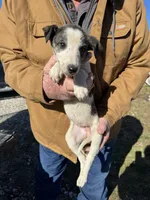 processed/10278e33-3c22-4648-8122-dc9c3dc5e8da/listing/8b5ecd67-83fe-4d46-ac09-f144a4e0f953/45d7a020-c4bc-4c31-af05-ab4a83efbe7f