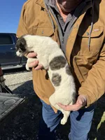 processed/10278e33-3c22-4648-8122-dc9c3dc5e8da/listing/8b5ecd67-83fe-4d46-ac09-f144a4e0f953/9b17a88d-e8b5-416b-aec5-4e98f0ee11ad