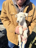 processed/10278e33-3c22-4648-8122-dc9c3dc5e8da/listing/9150276f-67c1-497f-a7cf-a61c2d10c71e/194ba533-b4b5-4ac0-a01d-7c39f91e1bda