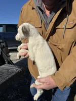 processed/10278e33-3c22-4648-8122-dc9c3dc5e8da/listing/9150276f-67c1-497f-a7cf-a61c2d10c71e/2ef01d85-3a21-4f74-b6d2-65d0b470c447