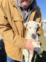 processed/10278e33-3c22-4648-8122-dc9c3dc5e8da/listing/9150276f-67c1-497f-a7cf-a61c2d10c71e/a219e79c-7ed7-4d3b-81cf-146b23a3fbfd