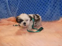 processed/10278e33-3c22-4648-8122-dc9c3dc5e8da/listing/b0eff1e1-d554-4af8-9dde-76946bdf1147/01a10b46-b3b3-4064-ab67-09d600ce4b87