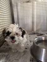 processed/10278e33-3c22-4648-8122-dc9c3dc5e8da/listing/b0eff1e1-d554-4af8-9dde-76946bdf1147/5bdb51cd-7e37-47f8-a0bd-b256fb8df689