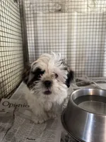 processed/10278e33-3c22-4648-8122-dc9c3dc5e8da/listing/b0eff1e1-d554-4af8-9dde-76946bdf1147/bcc67d87-7aac-4746-b2b7-034618cd8ca9