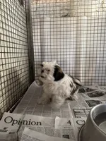 processed/10278e33-3c22-4648-8122-dc9c3dc5e8da/listing/b0eff1e1-d554-4af8-9dde-76946bdf1147/d481d926-33e9-44a5-8290-40b1dcf72949