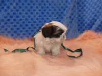 processed/10278e33-3c22-4648-8122-dc9c3dc5e8da/listing/b0eff1e1-d554-4af8-9dde-76946bdf1147/ef4527eb-ed5d-46cf-96e9-dfb439e036be