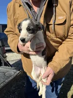 processed/10278e33-3c22-4648-8122-dc9c3dc5e8da/listing/ed8634ce-4296-4b65-aada-9e79f8e5bb96/1f3f272d-1b1f-40bc-a464-2ae5df0992f2