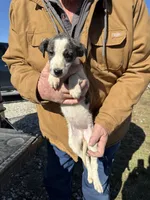 processed/10278e33-3c22-4648-8122-dc9c3dc5e8da/listing/ed8634ce-4296-4b65-aada-9e79f8e5bb96/e2586181-f034-4bc2-9487-c5ee206b22e9