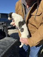 processed/10278e33-3c22-4648-8122-dc9c3dc5e8da/listing/ed8634ce-4296-4b65-aada-9e79f8e5bb96/e2a03c0f-957e-4012-aea3-abe3869377bc