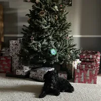 processed/102833ed-987b-49c7-bca8-70f337bbf6a6/facility/2d53112f-9dcd-4629-b35f-065488bb1c45