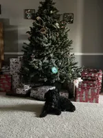 processed/102833ed-987b-49c7-bca8-70f337bbf6a6/facility/2d53112f-9dcd-4629-b35f-065488bb1c45