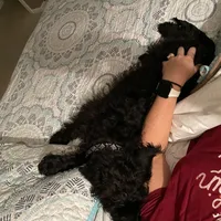 processed/102833ed-987b-49c7-bca8-70f337bbf6a6/facility/6e3e7bf3-5539-429e-ba5e-cc3d0019510e