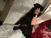 processed/102833ed-987b-49c7-bca8-70f337bbf6a6/facility/6e3e7bf3-5539-429e-ba5e-cc3d0019510e