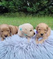 processed/102e8aef-b8c6-4855-bd7f-8d79be982e07/facility/3943b4e7-db9c-4604-8ff4-22d64a6cfc27