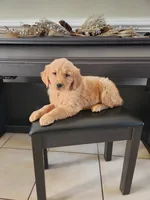 processed/102e8aef-b8c6-4855-bd7f-8d79be982e07/facility/73b4383c-d705-4e9b-9159-bc9e653c0cd8