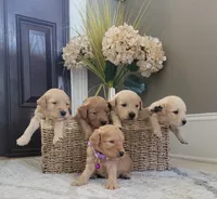 processed/102e8aef-b8c6-4855-bd7f-8d79be982e07/facility/a09e7b2b-f3ed-44c6-9404-70646a7876f2