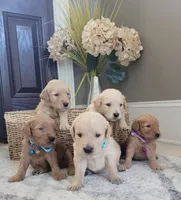 processed/102e8aef-b8c6-4855-bd7f-8d79be982e07/facility/a3a72741-a7cc-4327-b896-b3bac5a5923e