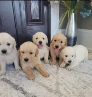 processed/102e8aef-b8c6-4855-bd7f-8d79be982e07/facility/b9c75f87-a4d0-4101-b491-5e4d9351d942