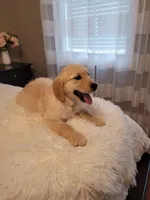 processed/102e8aef-b8c6-4855-bd7f-8d79be982e07/facility/c2a273ec-89e5-42cb-b79e-77177be36858