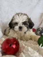 processed/1030c032-4403-401a-a6a7-8ed45be26590/listing/232b55c1-08c1-44cc-86b3-3619a66a069a/02cd6329-dff4-413f-888e-7726c13d71dc