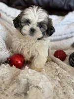 processed/1030c032-4403-401a-a6a7-8ed45be26590/listing/232b55c1-08c1-44cc-86b3-3619a66a069a/c0420841-b71c-4291-ba75-f12e18f412d1