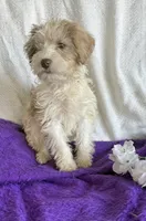 processed/1030c032-4403-401a-a6a7-8ed45be26590/listing/713a293e-599e-4fdc-97ef-9951b35e4e59/47f5ea47-350a-4a0d-9347-702e533e5f0d