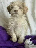 processed/1030c032-4403-401a-a6a7-8ed45be26590/listing/713a293e-599e-4fdc-97ef-9951b35e4e59/c84be600-8d10-402c-a8ff-fbc23ba7e679