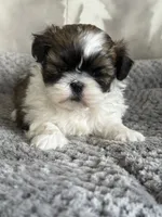 processed/1030c032-4403-401a-a6a7-8ed45be26590/listing/afe38fc4-e1e4-4f2e-814e-2f09e0ec1f45/291ea62e-80fd-4db5-8680-59710e0ede1f