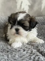 processed/1030c032-4403-401a-a6a7-8ed45be26590/listing/afe38fc4-e1e4-4f2e-814e-2f09e0ec1f45/7161a17e-4267-48c8-b16d-53fd9ee0b4cb