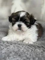 processed/1030c032-4403-401a-a6a7-8ed45be26590/listing/afe38fc4-e1e4-4f2e-814e-2f09e0ec1f45/b60485ee-a5ea-4f41-8e73-663281d7f6f7