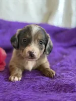 processed/1030c032-4403-401a-a6a7-8ed45be26590/listing/b143ab11-d4c5-407a-b41a-12a3e8fe99bf/6ab2f3c8-464b-4776-b6aa-301b262ced8e