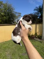 processed/1031eb2d-1538-4859-96be-a59b618f078b/listing/2d9e2e69-d42a-44b0-8f4b-fd4c6e99308f/36e51872-7a51-4974-a3d0-9ef0aee636b8