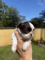 processed/1031eb2d-1538-4859-96be-a59b618f078b/listing/2d9e2e69-d42a-44b0-8f4b-fd4c6e99308f/48aa0cd2-7fd6-47d4-8d5c-e0c8c8a0d8cc