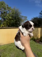 processed/1031eb2d-1538-4859-96be-a59b618f078b/listing/2d9e2e69-d42a-44b0-8f4b-fd4c6e99308f/78cd20ae-0328-452b-811a-01f5c9ddb2a8