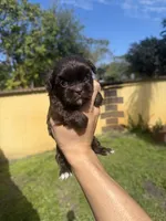 processed/1031eb2d-1538-4859-96be-a59b618f078b/listing/48848187-7bfe-466a-809b-de54eec16be7/7820a8c3-5446-4d9a-85d7-1f0c8d64b5c5