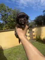 processed/1031eb2d-1538-4859-96be-a59b618f078b/listing/48848187-7bfe-466a-809b-de54eec16be7/ba152303-7a07-4b55-b395-1828f934136f