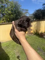 processed/1031eb2d-1538-4859-96be-a59b618f078b/listing/48848187-7bfe-466a-809b-de54eec16be7/f8cdf328-51ec-4ca4-a11a-072ffd01cd38