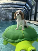 processed/10449291-7591-4a9e-ac3c-8384bf4bb2f2/facility/3f31b142-70ae-4aa4-9d58-4b023d766ec8