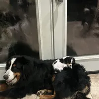 processed/10449291-7591-4a9e-ac3c-8384bf4bb2f2/facility/6128a064-ba6b-4854-8361-6989b6515fad