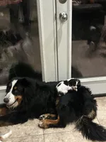 processed/10449291-7591-4a9e-ac3c-8384bf4bb2f2/facility/6128a064-ba6b-4854-8361-6989b6515fad