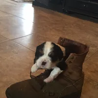 processed/10449291-7591-4a9e-ac3c-8384bf4bb2f2/facility/bb5d2bc4-0aaa-48c3-a2ee-d95af097fc66