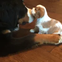 processed/10449291-7591-4a9e-ac3c-8384bf4bb2f2/facility/ccf88f5e-a0f2-4026-afa9-048e5180fe03