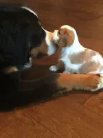 processed/10449291-7591-4a9e-ac3c-8384bf4bb2f2/facility/ccf88f5e-a0f2-4026-afa9-048e5180fe03