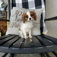 processed/10449291-7591-4a9e-ac3c-8384bf4bb2f2/facility/d9d1d256-00a4-404b-95be-353f2d36e6a1