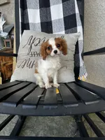 processed/10449291-7591-4a9e-ac3c-8384bf4bb2f2/facility/d9d1d256-00a4-404b-95be-353f2d36e6a1