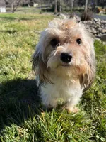 processed/10449291-7591-4a9e-ac3c-8384bf4bb2f2/listing/0aedc9a3-bb7e-45d1-9aa1-3228c6f21815/32216b31-99d0-4fc7-89d8-7af8073d87e7