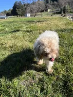 processed/10449291-7591-4a9e-ac3c-8384bf4bb2f2/listing/0aedc9a3-bb7e-45d1-9aa1-3228c6f21815/6322432c-5b05-451c-8eba-e0dab28564b0